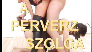 Családi buli - Klasszikus retro magyar feliratos xxx videó