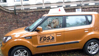 Fake Driving School - Louise Lee kedveli a termetes péniszt