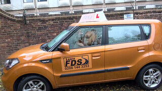 Fake Driving School gigantikus brit csöcsök
